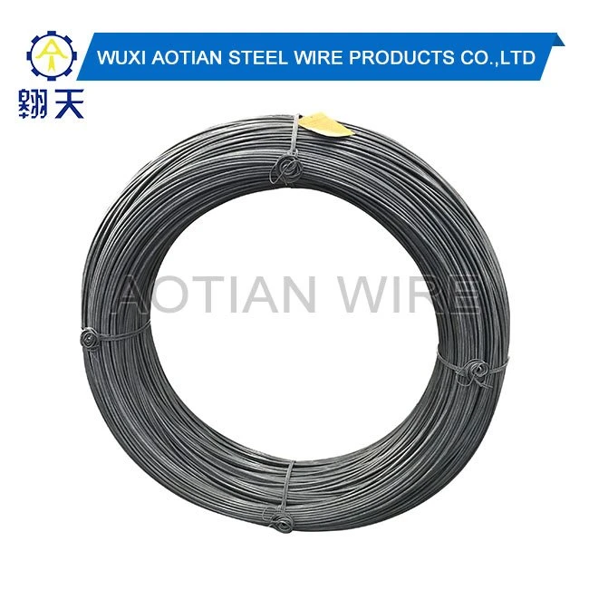 C1008